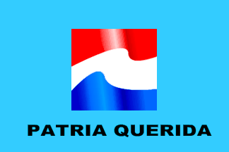 Partido Patria Querida flag